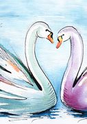Swan Love