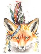 Fox n feathers