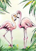 Flamingos Forever